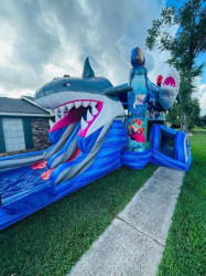 Shark Attack Combo Wet or Dry Shark Attack Combo Wet or Dry