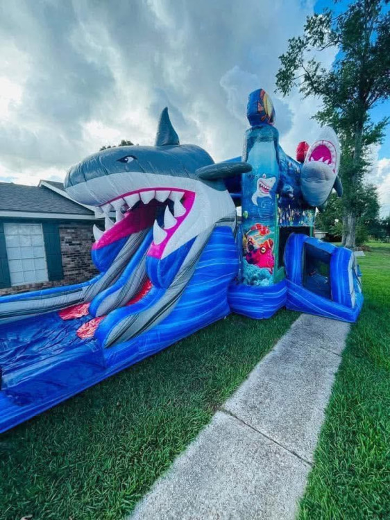 Shark Attack Combo Wet or Dry