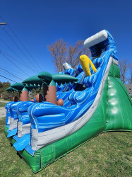 Messenger creation 996522A9 B9BC 4FEE B9EB 546FD0AE6E43 177344749 1 Tropical Drop 20 foot tall Double Lane Dry slide
